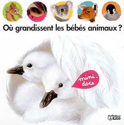 Où grandissent les bébés animaux ?