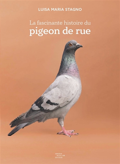 la fascinante histoire du pigeon de rue