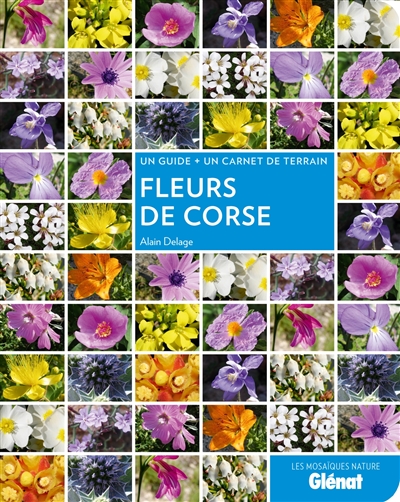Fleurs de Corse : un guide + un carnet de terrain