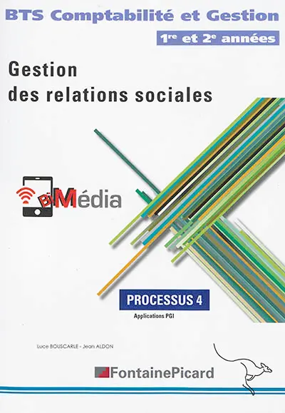 Gestion des relations sociales : BTS comptabilité et gestion 1re et 2e années : processus 4, applications PGI