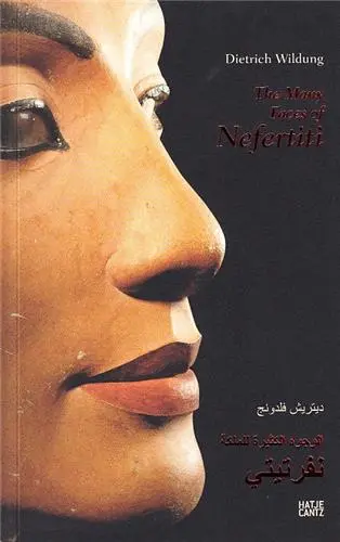The Many Faces of Nefertiti