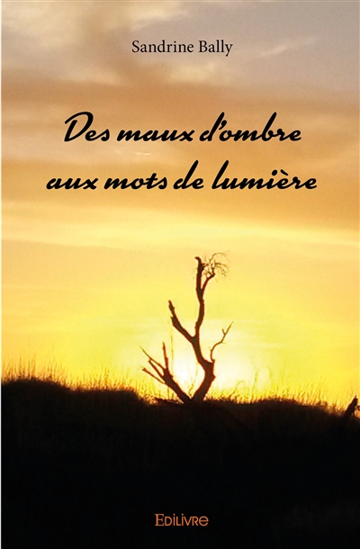 Des maux d'ombre aux mots...