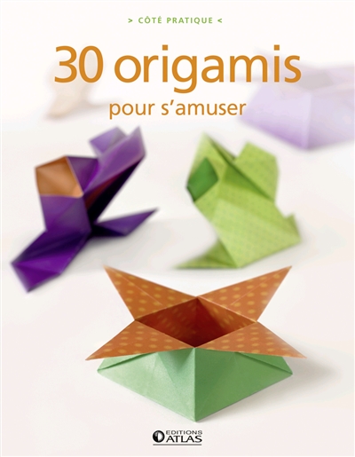 30 origamis pour s'amuser