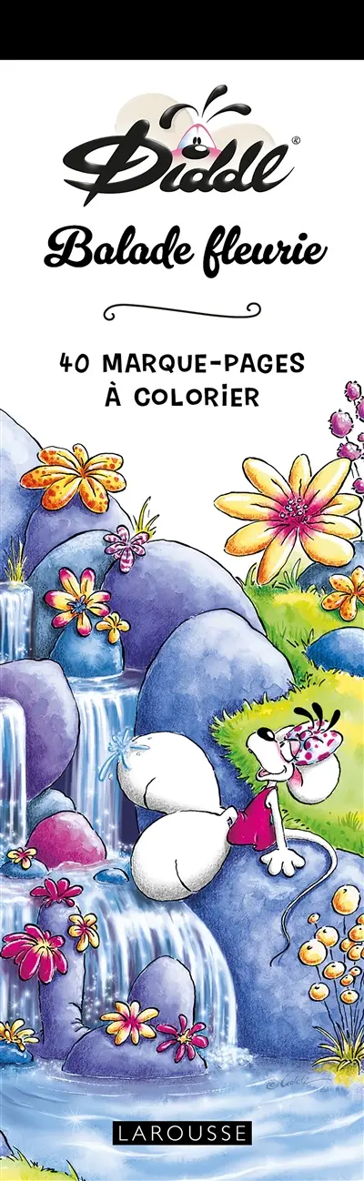 Balade fleurie : 40 marque-pages Diddl