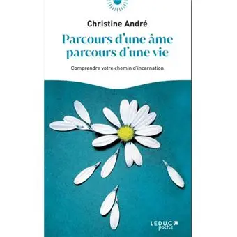 Parcours d'une âme, parcours d'une vie : comprendre votre chemin d'incarnation