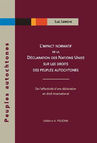 L'impact normatif de la Déclaration des Nations unies sur les droits des peuples autochtones : de l'effectivité d'une déclaration en droit international