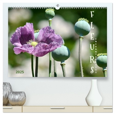 DES FLEURS ENCHANTERESSES...