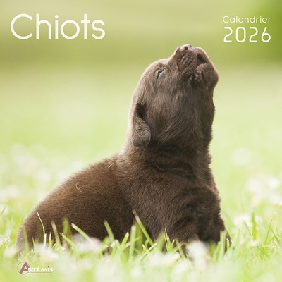 Chiots : calendrier 2026 :...