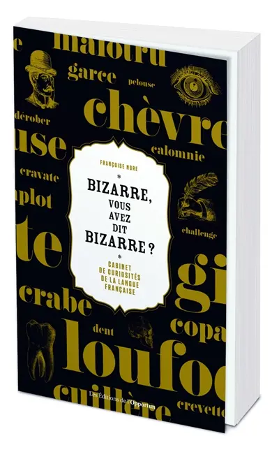 Bizarre, vous avez dit bizarre ? : cabinet de curiosités de la langue française