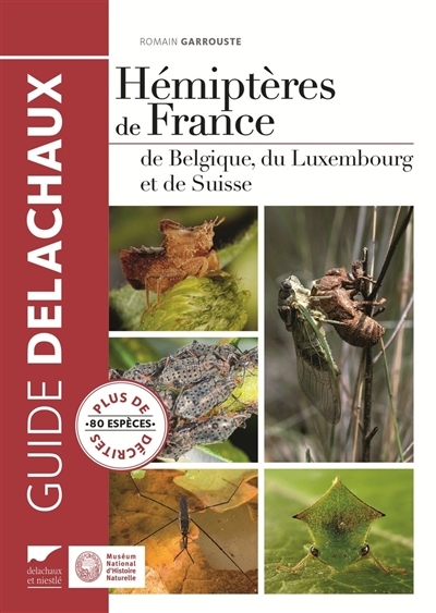 Hémiptères de France, de Belgique, du Luxembourg et de Suisse : plus de 80 espèces décrites