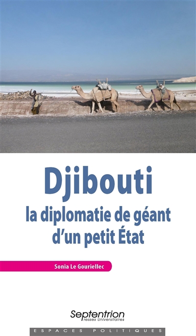 Djibouti : la diplomatie de géant d'un petit Etat
