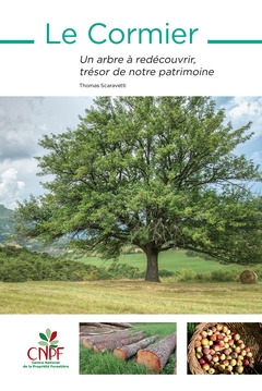 Le cormier : un arbre à redécouvrir, trésor de notre patrimoine