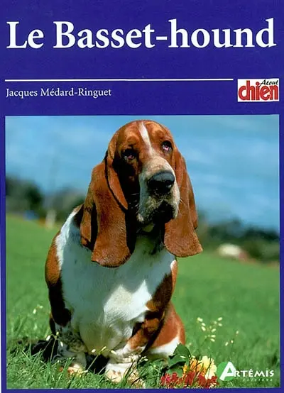 Le basset-hound