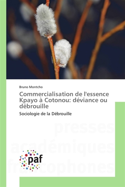 Commercialisation de lessence Kpayo à Cotonou : déviance ou débrouille