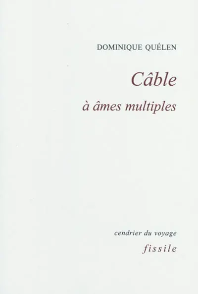 Câble à âmes multiples