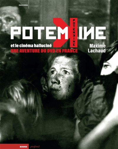 Potemkine et le cinéma halluciné : une aventure du DVD en France