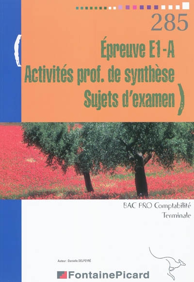 Epreuve E1-A, activités professionnelles de synthèse, sujets d'examen : bac pro comptabilité terminale