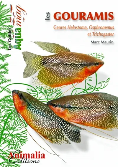 Les gouramis : genres helostoma, osphronemus et trichogaster