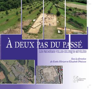 a deux pas du passé : les premières villes celtiques révélées