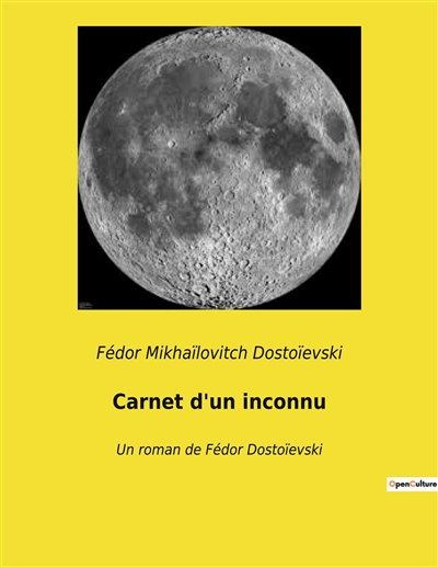 Carnet d'un inconnu : Un roman de Fédor Dostoïevski