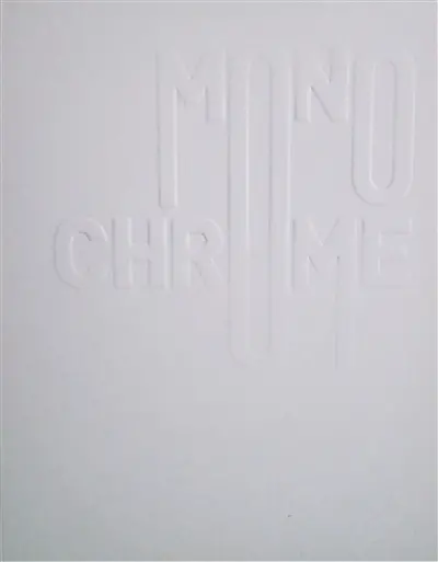 Monochrome : Laurence Stairne : une monographie