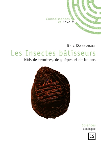 Les insectes bâtisseurs : nids de termites, de guêpes et de frelons