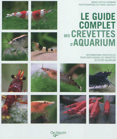 Le guide complet des crevettes d'aquarium : informations essentielles pour bien choisir les crevettes de votre aquarium