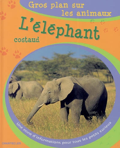 L'elephant Costaud