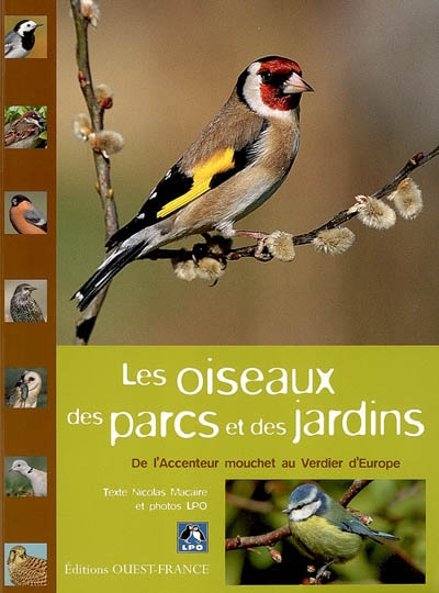 Les oiseaux des parcs et des jardins : de l'accentur mouchet au verdier d'Europe