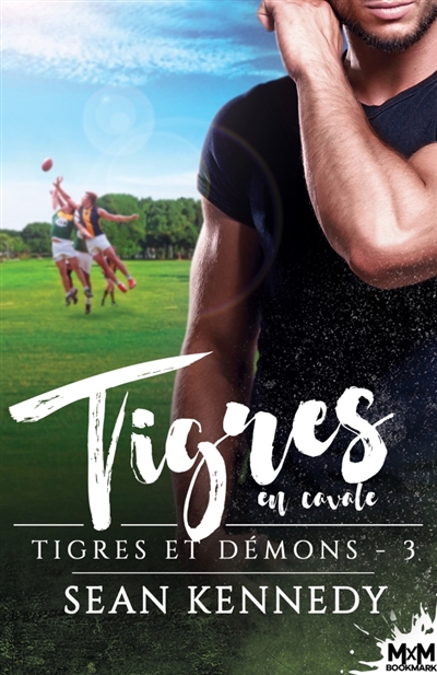 Tigres en cavale : Tigres et démons, T3
