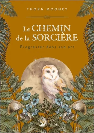 Le chemin de la sorcière : progresser dans son art