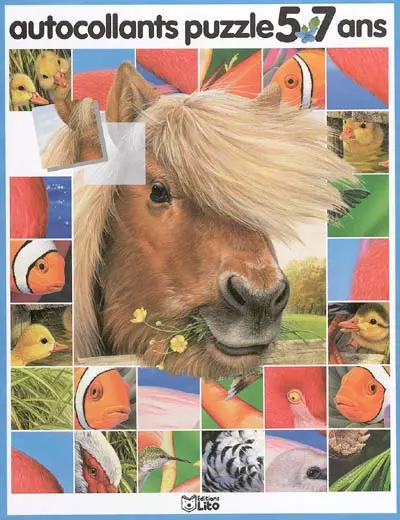 Autocollants puzzle 5-7 ans