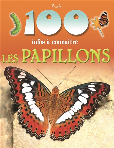 100 infos à connaître : les papillons