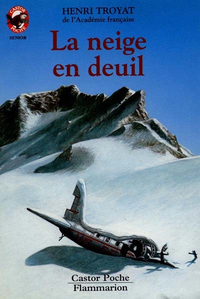 La neige en deuil