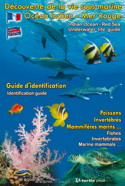 Découverte de la vie sous-marine : Océan Indien-Mer Rouge