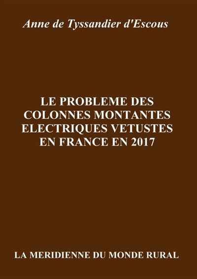 Le problème des colonnes montantes électriques vétustes en France en 2017