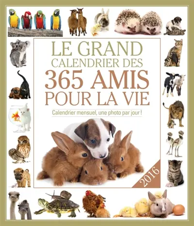 Le grand calendrier des 365 amis pour la vie 2016 : calendrier mensuel, une photo par jour !