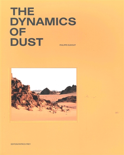 The dynamics of dust