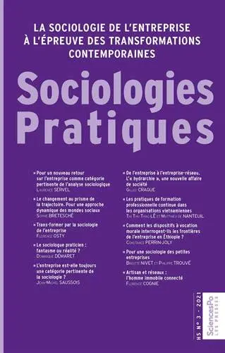 Sociologies pratiques, hors série, n° 3. La sociologie de l'entreprise à l'épreuve des transformations contemporaines