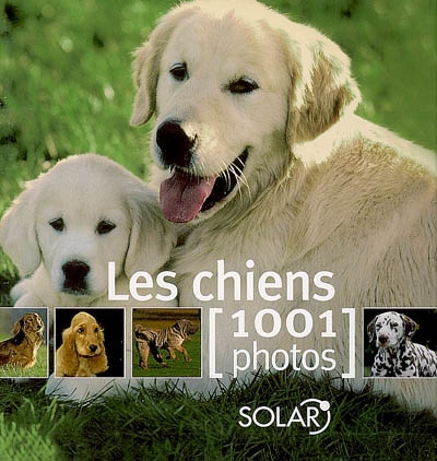 Les chiens en 1001 photos