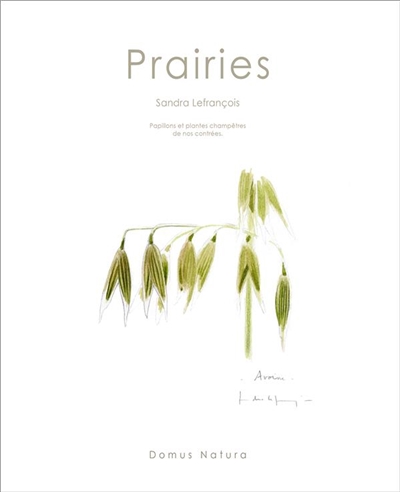 Prairies : papillons et plantes champêtres de nos contrées