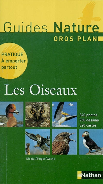 Gros plan sur les oiseaux