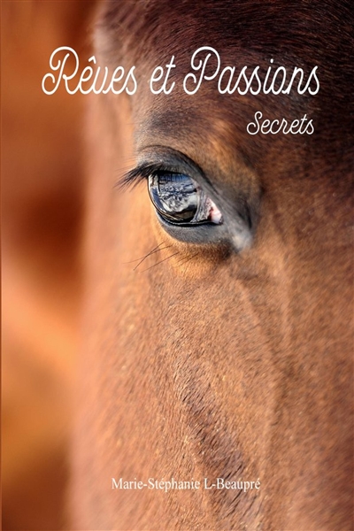 Rêves et Passions 2 : Secrets
