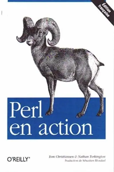 Perl en action : exemples et solutions pour les programmeurs en Perl