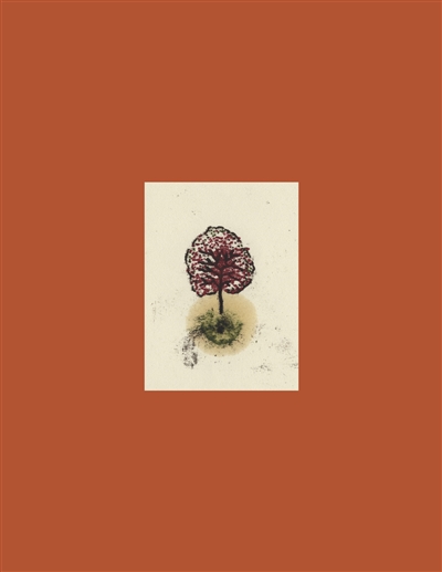 Coffret arbres