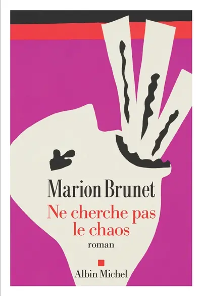 Ne cherche pas le chaos