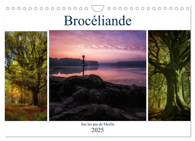 BROCELIANDE, sur les pas de...