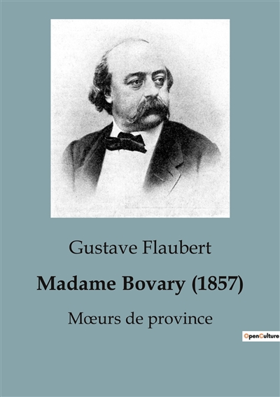 Madame Bovary (1857) : Mœurs de province