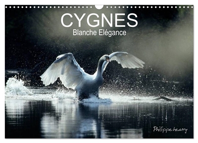 CYGNES. Blanche Elégance (Calendrier mural 2025 DIN A3 vertical), CALVENDO calendrier mensuel : Les plus belles photos de cygnes prises dans des régions sauvages de France et de Finlande.