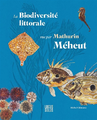 La biodiversité littorale vue par Mathurin Méheut : l'art au service de la biologie marine